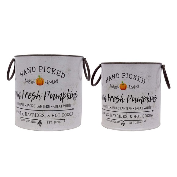 Farm Fresh Pumpkins Metal Buckets - Set of 2 - Picture 3 of 3